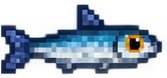 멸치