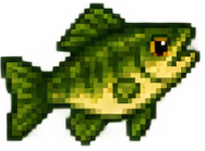 큰입우럭